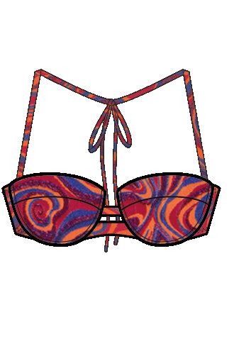 Shan Zoe Bikini Top